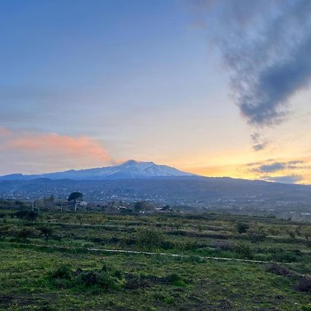 Vista Etna House Lägenhet Fiumefreddo di Sicilia Exteriör bild