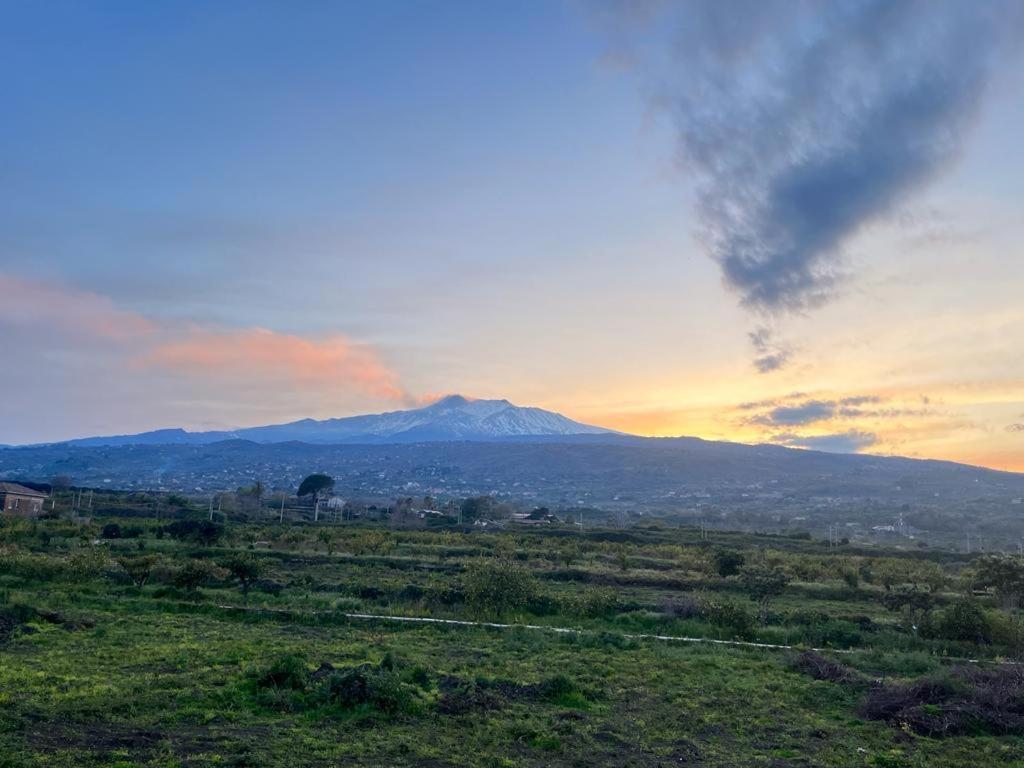 Vista Etna House Lägenhet Fiumefreddo di Sicilia Exteriör bild